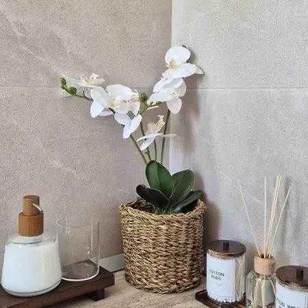 Piso アパート トレモリノス