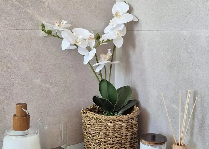 Piso Apartamento Torremolinos