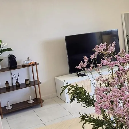 Piso * Τορρεμολίνος